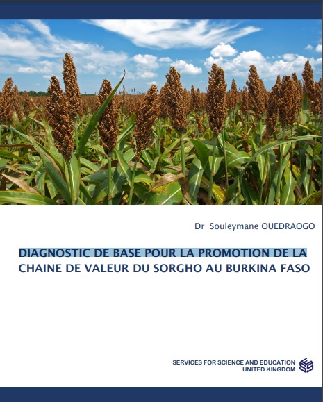 Diagnostic De Base Pour La Promotion De La Chaine De Valeur Du Sorgho Au Burkina Faso